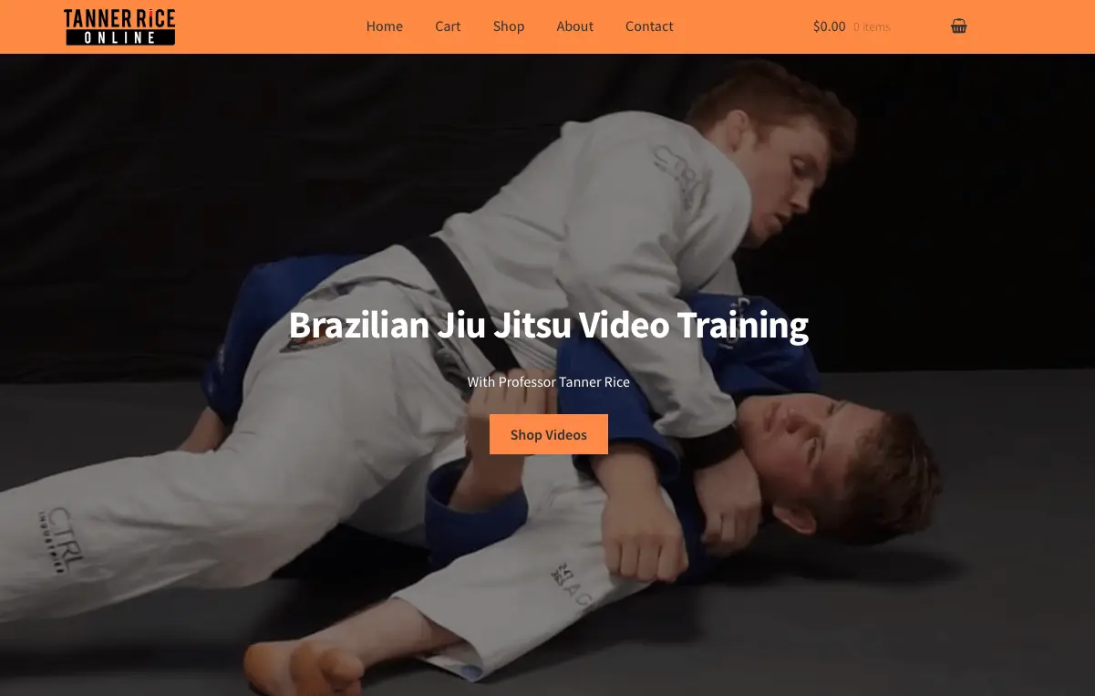 Screenshot of the Tanner Rice Online website from the 2017 project note.